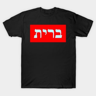 Hebrew Word for Covenant T-Shirt